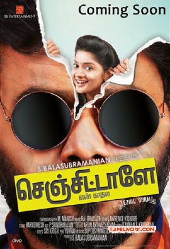 Senjittale En Kadhala Tamil Movie Apr 2017 Albums 7864