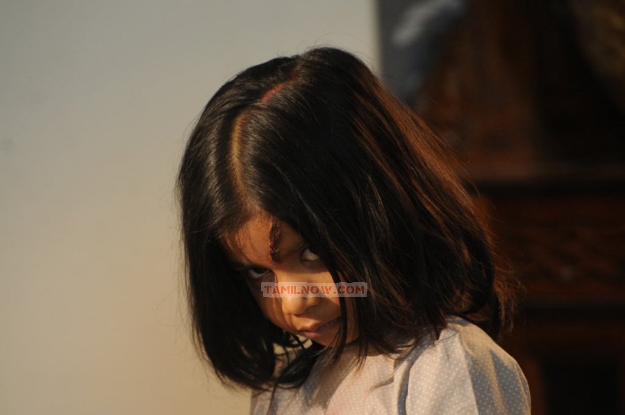 Shivani Photos 7088
