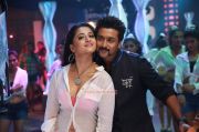 Singam 2 5763