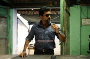 Surya In Singam 2 481