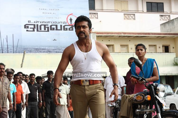 Surya Photo From Singam 3