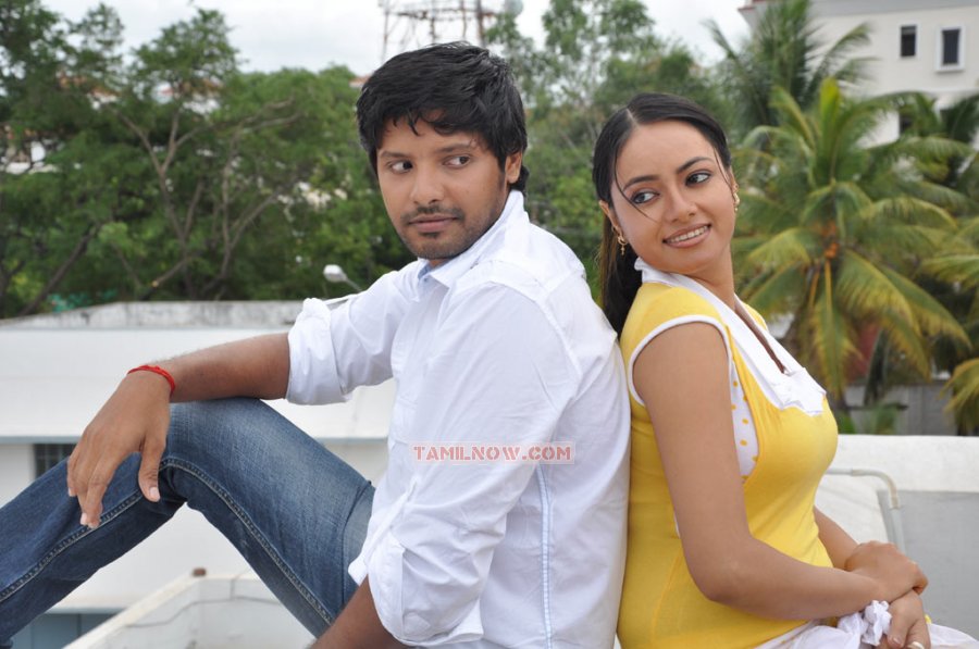Siruvani Stills 9220