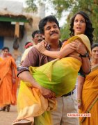 2017 Images Sokkali Mainar Movie 3193