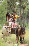 Movie Sonnaa Puriyaadhu Stills 1667