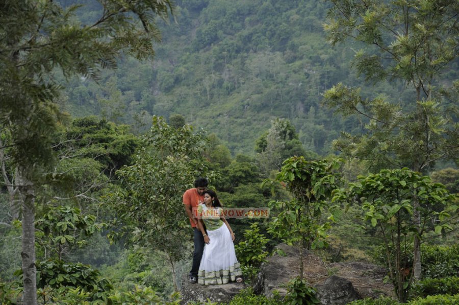 Swasame Stills 9525