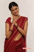 Actress Meenakshi Dixit 106