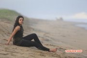 Tamil Film Taramani New Galleries 9646