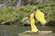 Nikki Galrani Team 5 Movie Image 750