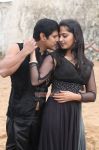 Vikram Anushka In Thaandavam 210