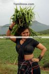 Thalapulla Film Hot Still 1