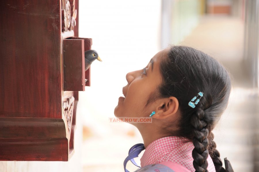 Thangameengal 7934