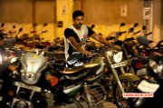 Thani Oruvan Jayam Ravi New Image 241