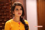 Tamil Film Thappu Thanda Recent Stills 9461