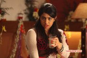 Tamil Movie Tharkappu Latest Gallery 4875