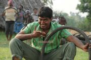 Thee Kulikkum Pachay Maram 2692