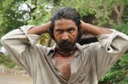 Thee Kulikkum Pachay Maram Photos 4273