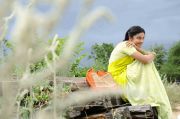 Payal Ghosh 346