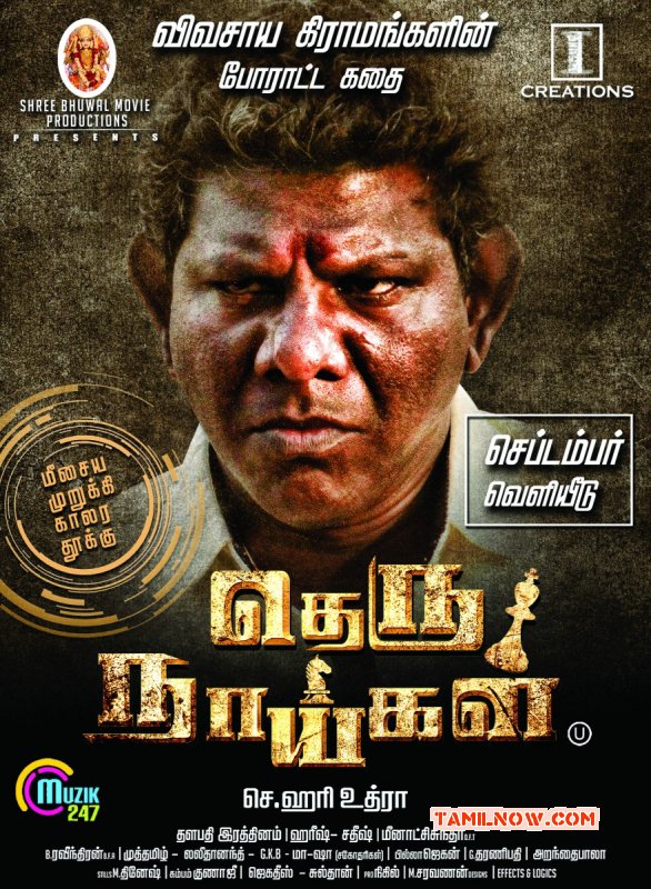 Theru Naaigal Tamil Cinema New Wallpapers 4550