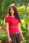 Tamil Movie Thigar Photos 7471