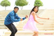 Thigar 4607