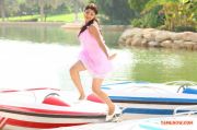 Thigar 6652