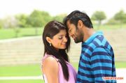 Thigar 7565