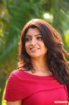 Thigar Photos 1237
