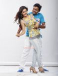 Shiva And Isha Talwar In Thillu Mullu 868