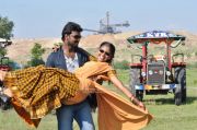 Movie Thirappu Vizha 7515