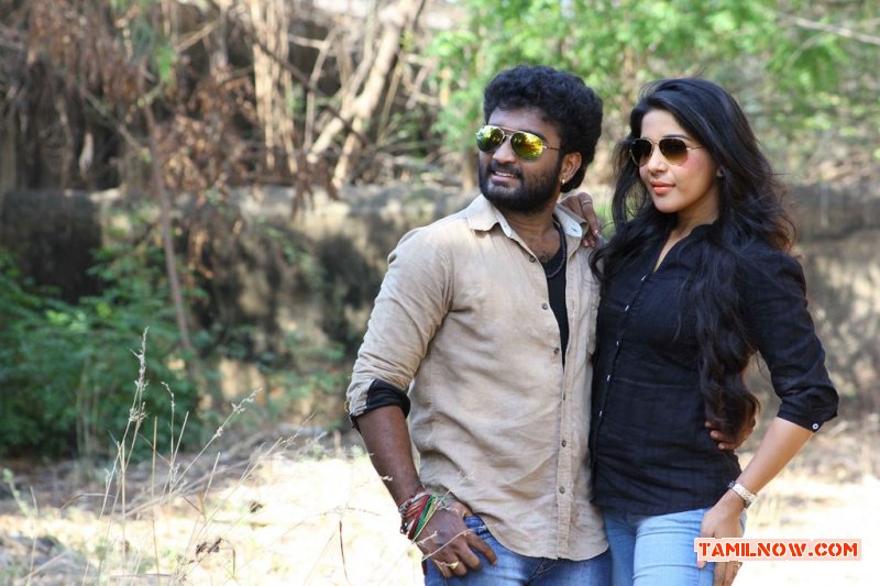 Thiruttuvcd sales tamil movies