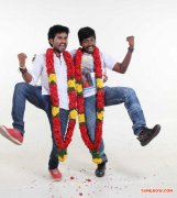 Movie Thiruttu Vcd Stills 6983