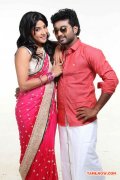 Movie Thiruttu Vcd Stills 9817