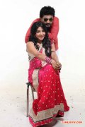 Sakshi Agarwal In Thiruttu Vcd Movie 197