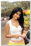 Shriya Saran Photos 2