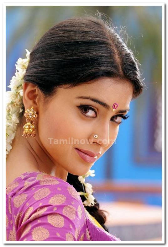 Shriya Saran Stills 6