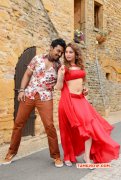 Recent Photos Tamil Cinema Thozha 6278