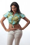 Actress Haripriya 695