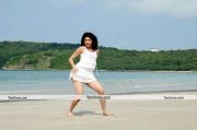 Pranitha In Udhayan1