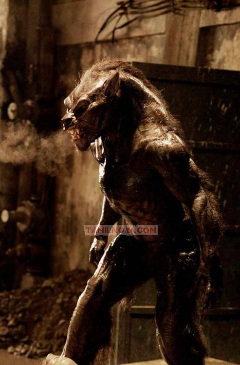 Movie Underworld 4 Photos 5798