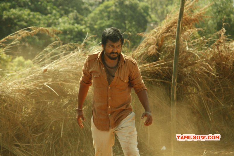 Latest Photos Tamil Movie Urumeen 6413