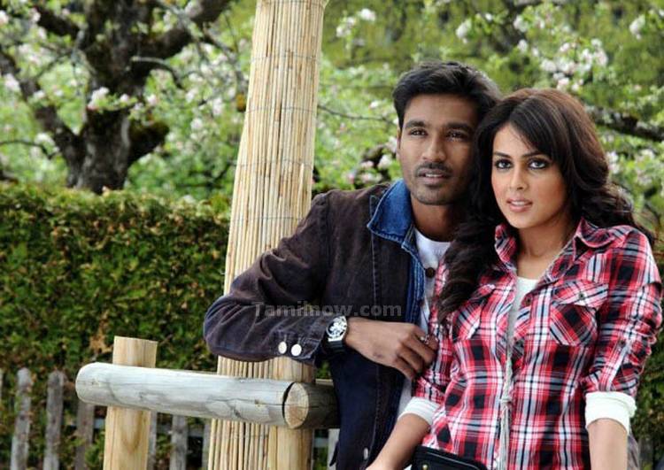 Dhanush Genelia Still 7