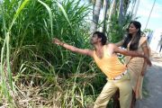 Tamil Movie Vachikava 6307