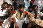 Vamsam Movie Stills 1