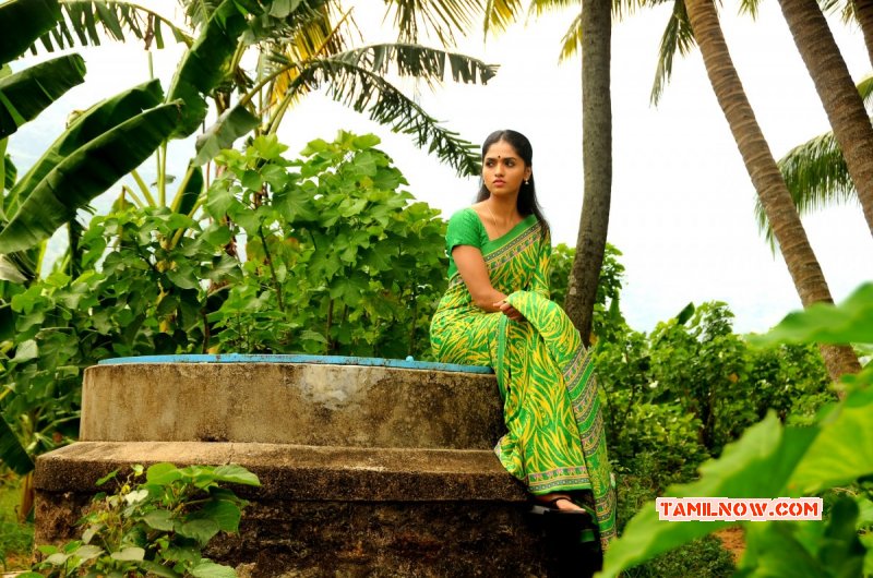 Movie New Still Sunaina In Vanmam 201