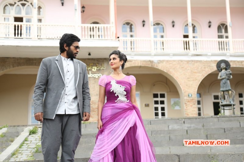 Movie Image Vikram Prabhu Shamili Veera Shivaji 935