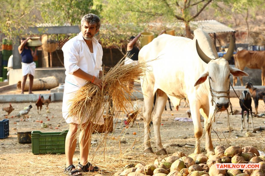 Veeram 5064