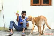 Velai Illa Pattathari Stills 2014