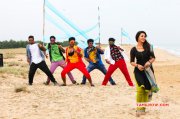 Movie Velainu Vandhutta Vellaikaran 2016 Photo 8452