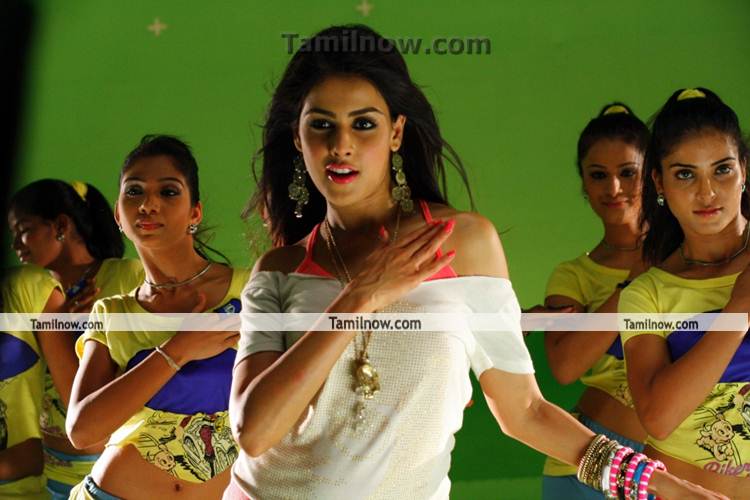 Genelia In Velayudham New Still 5