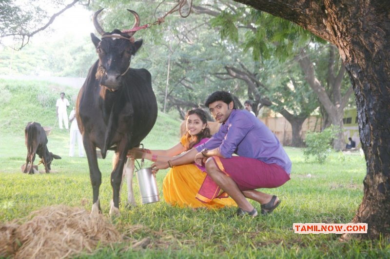 Gallery Tamil Cinema Vellaikara Durai 985